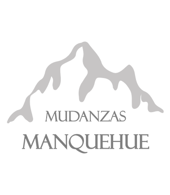 logo Mudanzas Manquehue mudanzas en chile cliente client agencia taps seo marketing optimization Diseño web web design