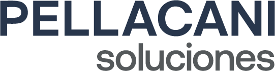 logo pellacani soluciones, proyecto diseño web en cordoba, agencia taps