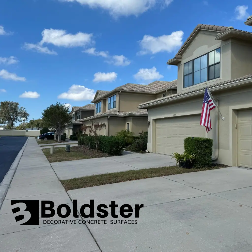 proyecto boldster, diseño web, tampa